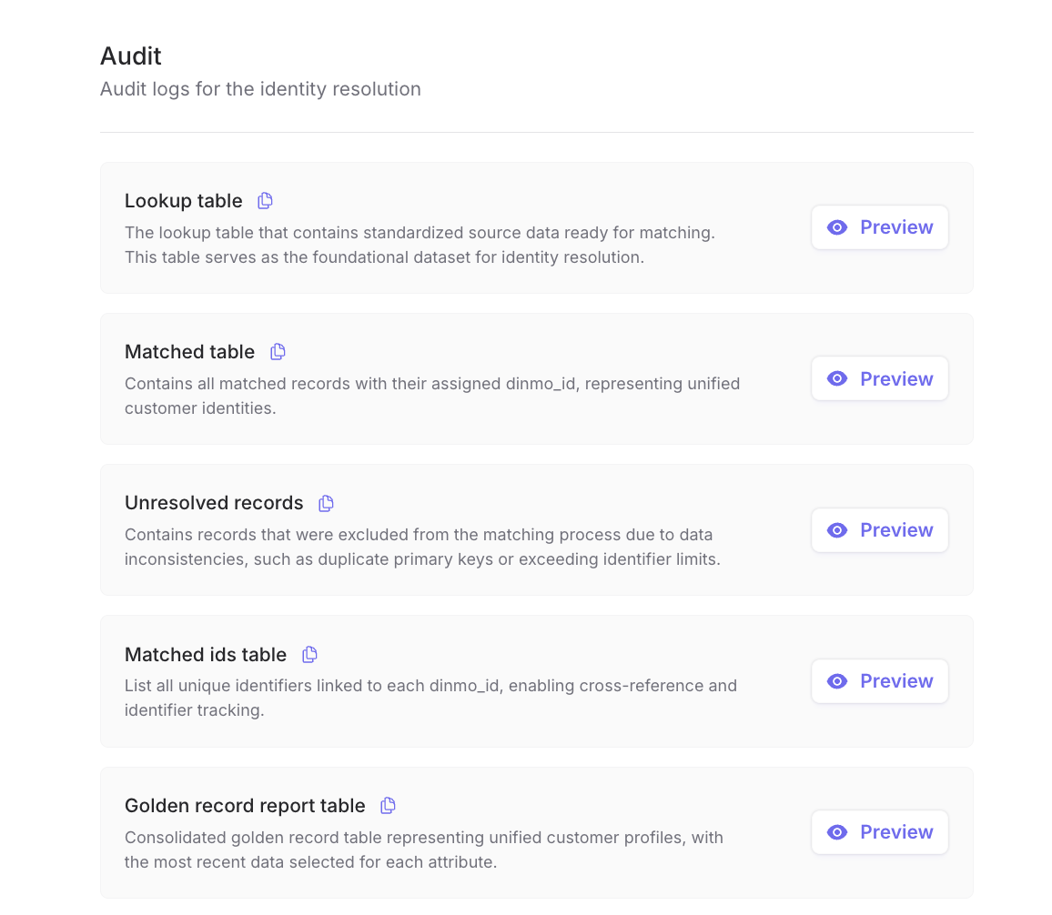 Identity Resolution audit tab showing lookup, matched, unresolved, matched ids, and golden record report tables